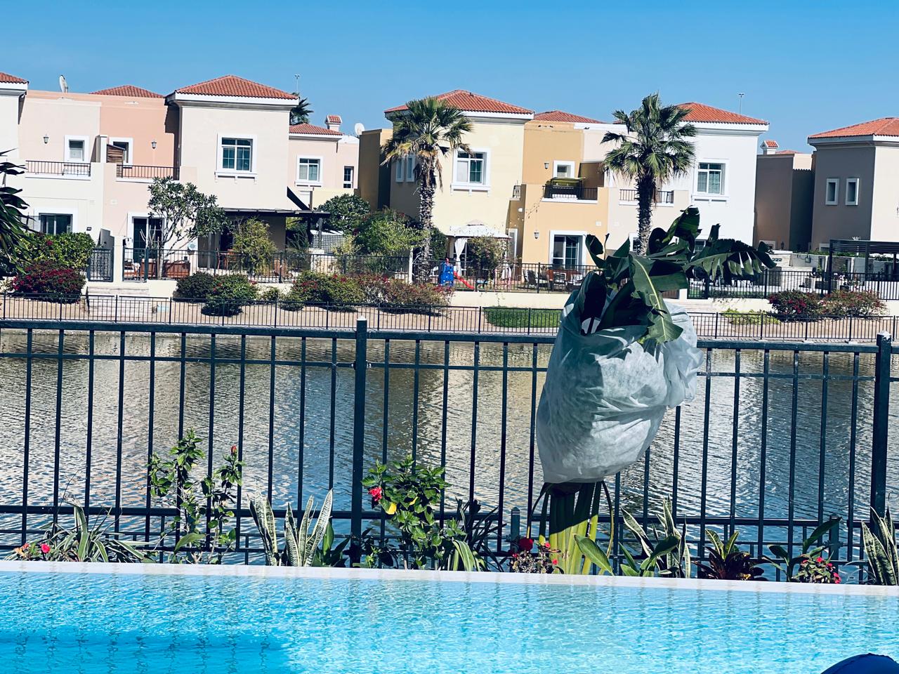 Resort-Style Infinity Pool